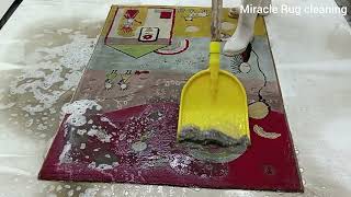 Carpet cleaning excitement!!! Why some carpets are more attractive! by Miracle Rug Cleaning 4,953 views 13 days ago 17 minutes