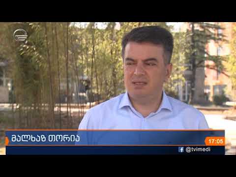 სამეგრელო-ზემო სვანეთის სახელმწიფო რწმუნებულის მოვალეობის შემსრულებლის მალხაზ თორიას კომენტარი