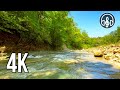 Sounds of a spring river with forest birds singing. 10 hours of 4K video.