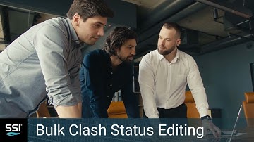 SSI 2024 R1.1 - Bulk Clash Status Editing (ShipConstructor)