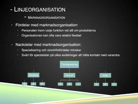 Video: Skillnaden Mellan Linjeorganisation Och Funktionell Organisation