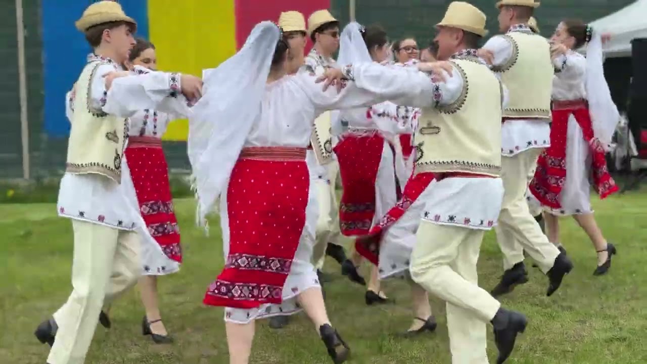 Festivaluri