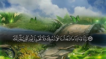 تلاوة من سورة آل عمران من الآية ١٨٦ الي الآية ٢٠٠ للقارئ ماهر المعيقلي