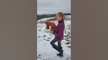 Taking a thoroughbred stallion on a relaxed trail ride #shorts