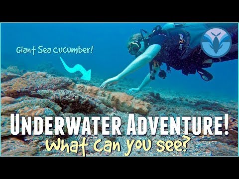 Underwater