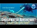 Underwater Adventure! What can YOU See? | Maddie Moate