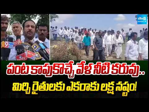 Water Shortage at Crucial Crop Stage | Chilli Farmers Face ₹1 Lakh Loss Per Acre | YSR Kadapa | - SAKSHITV