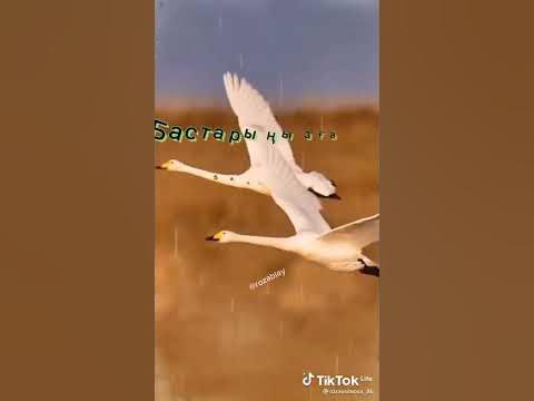 қалайсындар достар Бұл мен Райымбек аяулым динара айдагараева апайдың ...