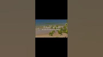 إن في خلق السماوات والأرض سعد الغامدي سورة أل عمران #المصحف