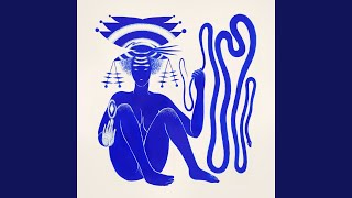 Artist: Hiatus Kaiyote : Newtone Records