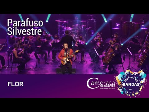 Vídeo de 30 Por Segundo
