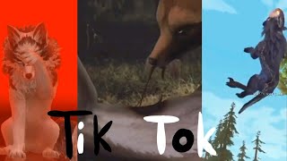 Wildcraft - TikTok Compilation