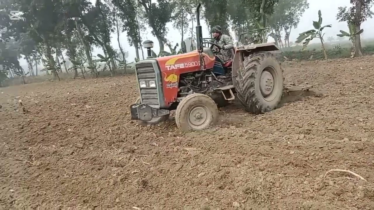 আমাদের জমি চাষ শুরু করলাম 