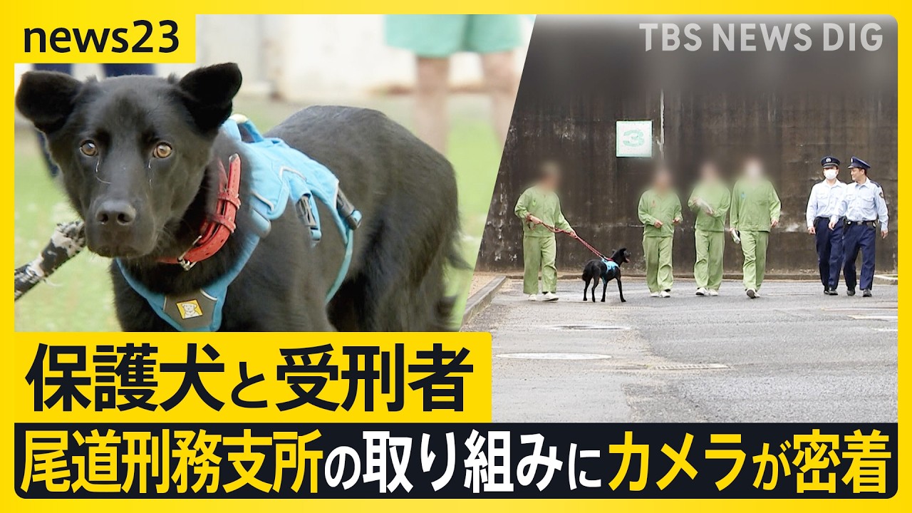 「保護犬」と学びあう受刑者たち…広島・尾道刑務支所の取り組みにカメラが密着「人に優しくできるようになった」 変わり始めた受刑者たち【news23】｜TBS NEWS DIG