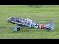 Blackhorse Focke Wulf FW190 Moki 150