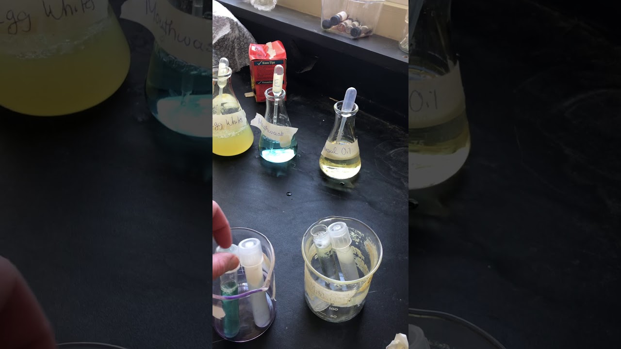 Lab Mixture Mixture Lab (Before Mixing) - YouTube