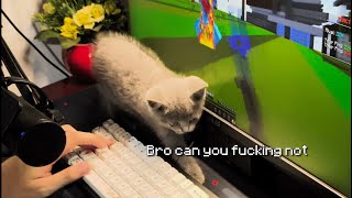 VNPVP 1.8 knockback test on bot with cat steroid