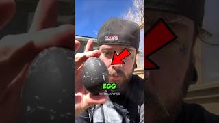 Animal Eggs So Strange They Look Fake 😳🥚 #animals #shorts #facts