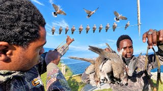 Insane Ring-neck Dove Hunting | Accuracy on Point