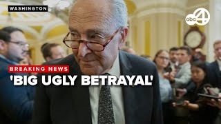Sen. Chuck Schumer reacts to Trump's 'Big Beautiful Bill' passing