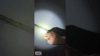 ASMR Tapping Pest Control Inspection.  #ASMR #CA #pestcontrol #tapping #inspection