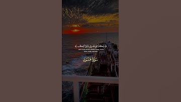 من التلاوات الخاشعة للمنشاوي 📿 #القرآن_الكريم #تلاوة_خاشعة #راحة_نفسية