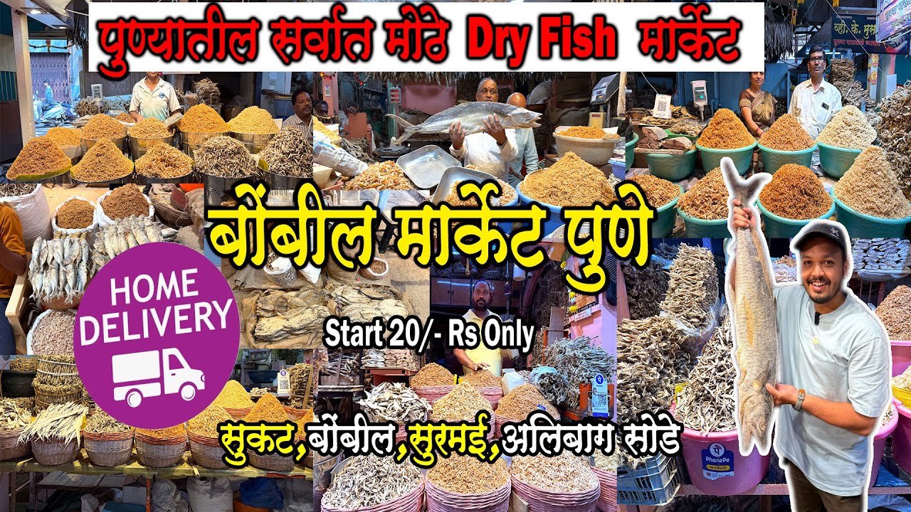 🐠पुण्यातील सर्वात स्वच्छ व मोठे ड्राय फिश मार्केटlBiggest Dry Fish Market2025|Bombil Market #pune