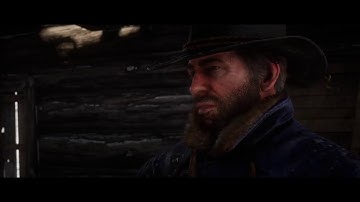 Red Dead Redemption 2: Chapter 1: Part 4 *The Aftermath of Genesis*