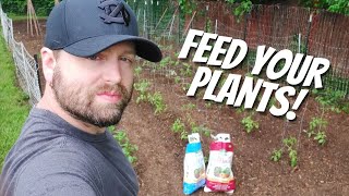 Simple Approach To Fertilizing Your Garden | How To Fertilize Your Garden Organically