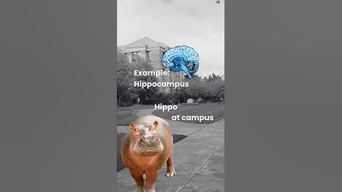 The Power of Visual Learning By Jim Kwik: Unlock Your Brain’s Potential