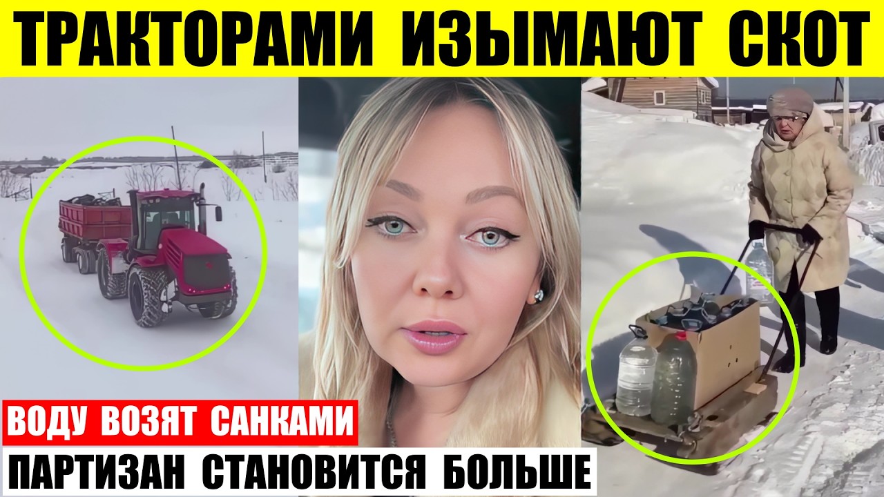 У фермеров Сибири тракторами изымают скот. Воды в Слободе нет возят санками. Партизан стало больше.