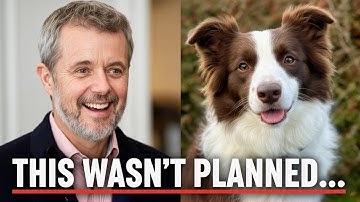 Christmas Colors & Canines: Inside Denmark’s Royal Home