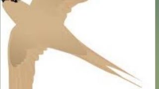 sp dan si andalan# berbagi setiap hari ling sp dan si di bawah👇