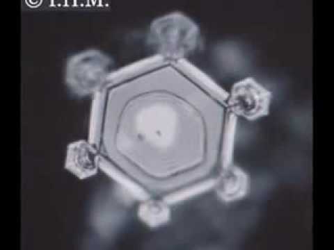 Water, Consciousness & Intent: Dr. Masaru Emoto