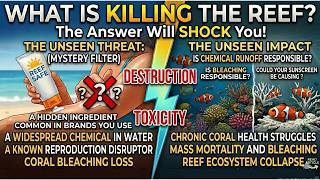 Download Lagu Sunscreen Ingredient Harmful to the Reef Download Lagu Sunscreen Ingredient Harmful to the Reef
