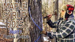 DIY Maple Syrup 2025 / Part 1 - Tapping & Boiling