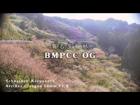 BMPCC OG】賀名生梅林｜Schneider Kreuznach Arriflex-Cinegon