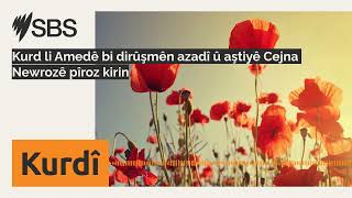 Kurd Li Amedê Bi Dirûşmên Azadî Û Aştiyê Cejna Newrozê Pîroz Kirin Sbs Kurdish - Sbs Kurdî