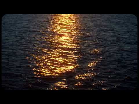 The Cruise Movie