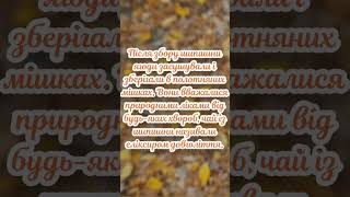 #вцейдень #сьогодні #18вересня#прикмети #заборона #звичаї