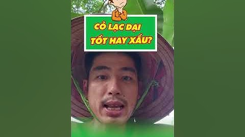 Cỏ lạc dại tốt hay xấu?