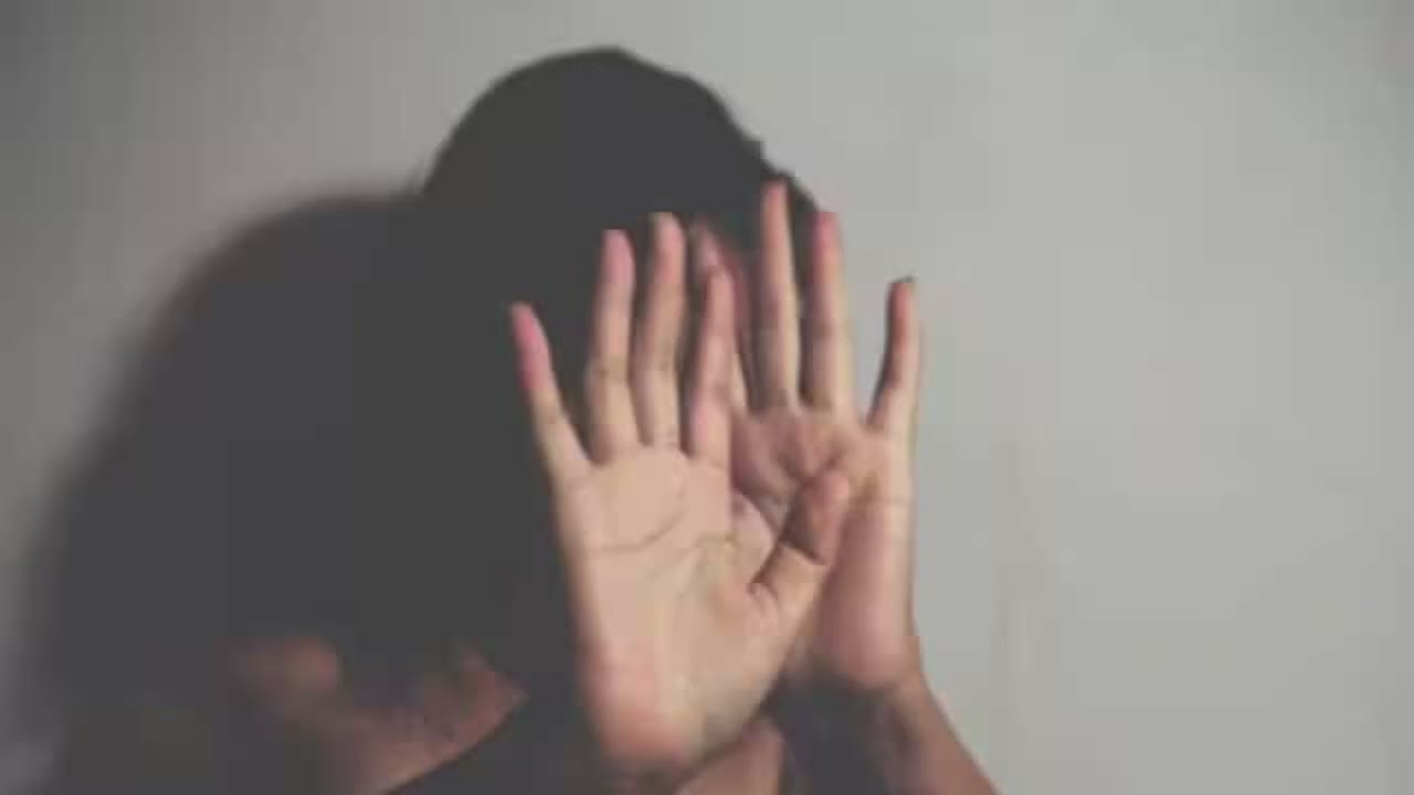 French Tourist Raped After Party In Rajasthans Udaipur Police Launch Manhunt