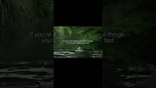 Fast...#philosophy #quotes #haveitoldyoulatelythatiloveyou #unfrezzmyaccount #lifeisbutadream