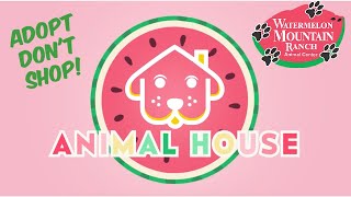 'Animal House' Ep.1 Featuring Watermelon Mountain Ranch and Habib the Python Belly Dancer!