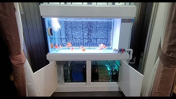 Prasert BKN - งานขนส่งตู้เฟอร์ 60"ขึ้นชั้นสองพร้อมทำระบบ Overflow จบที่งานล้างลงปลาทองทามาซาบะ Set 3