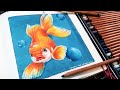 Chatting About Derwent Lightfast Pencils While Drawing a Goldfish (Sketchbook Sunday)