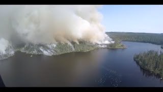 Fire and the Boreal Forest of Terra Nova National Park