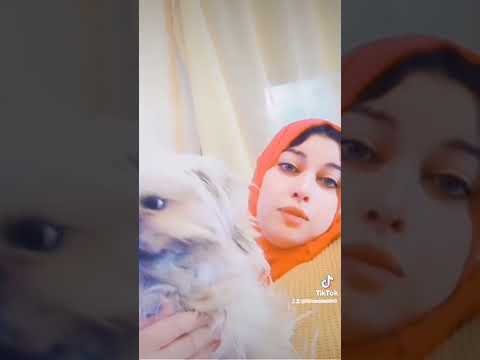 خلي أحلامك راح تكبر وتفرح اكيد