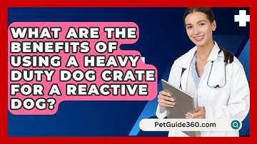 What Are The Benefits Of Using A Heavy Duty Dog Crate For A Reactive Dog? - PetGuide360.com