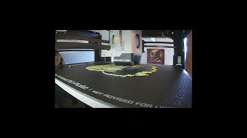 Bald Eagle HueForge Filament Painting, 3D Print Time Lapse